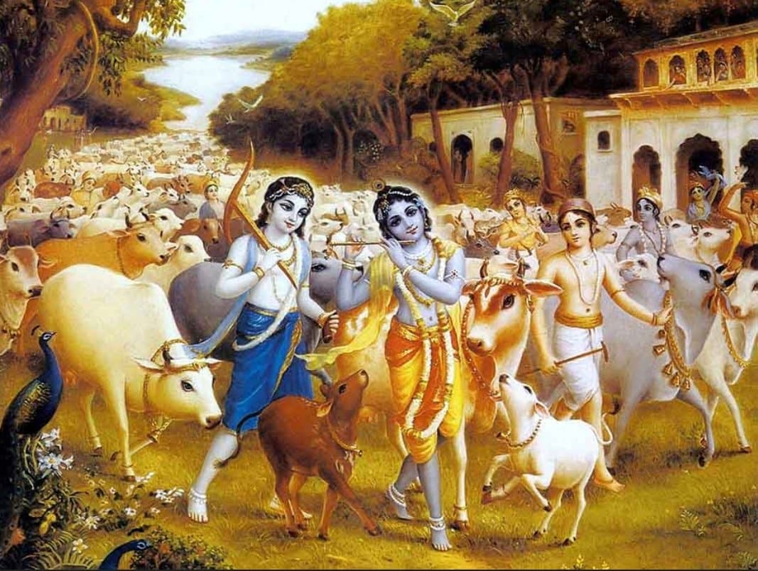 Gopāla Seva